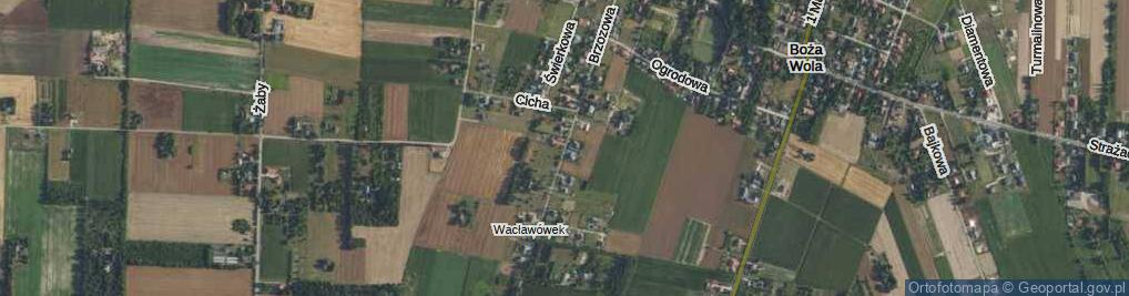 Zdjęcie satelitarne Brzozowa ul.